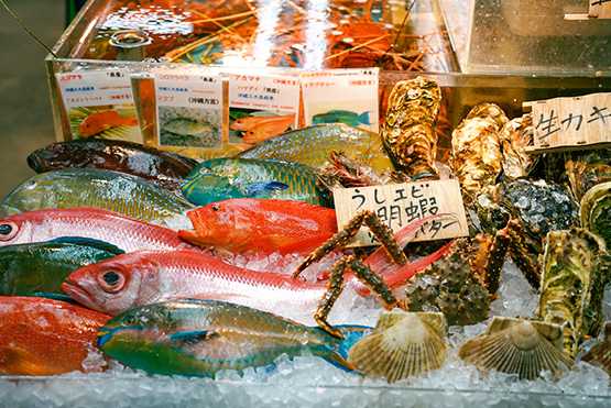 牧志公設市場裡各色新鮮的海魚任君挑選